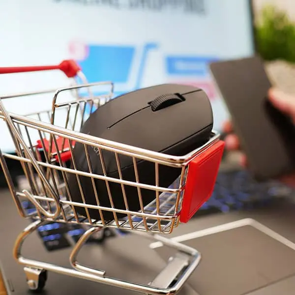 Wir erstellen Ihnen einen professionellen Onlineshop